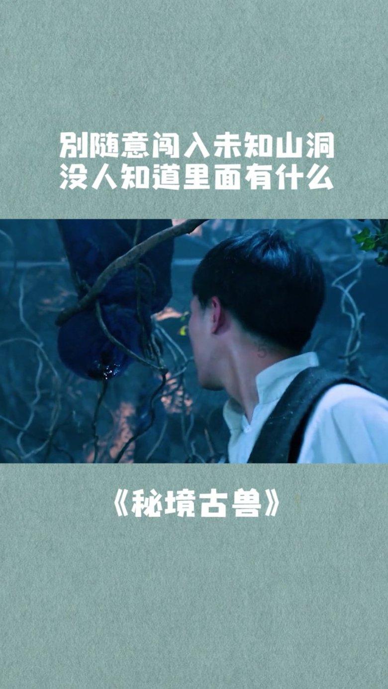 月光影视